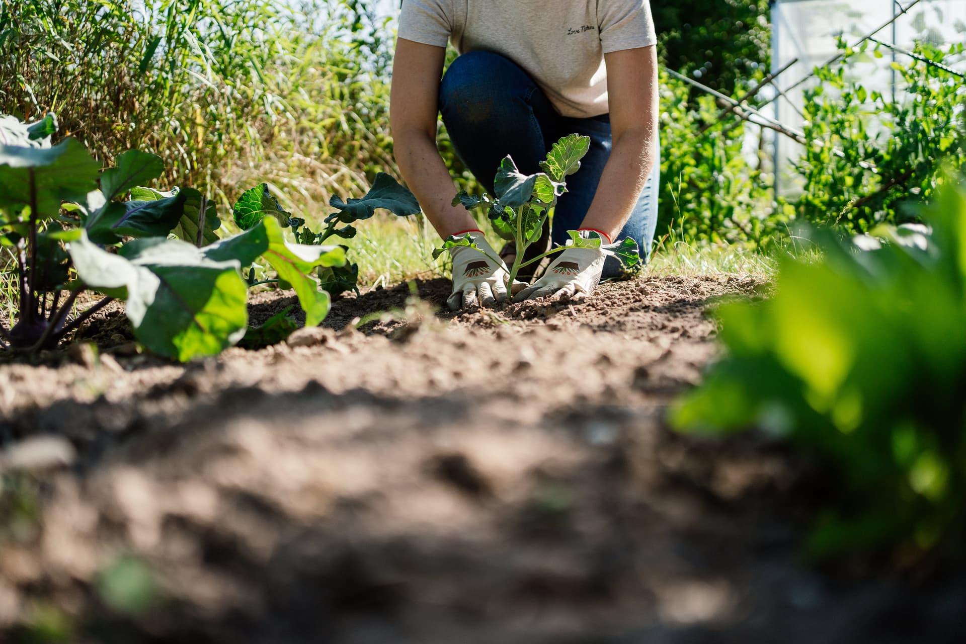 Student Grows and Donates 7K Pounds of Food for the Needy