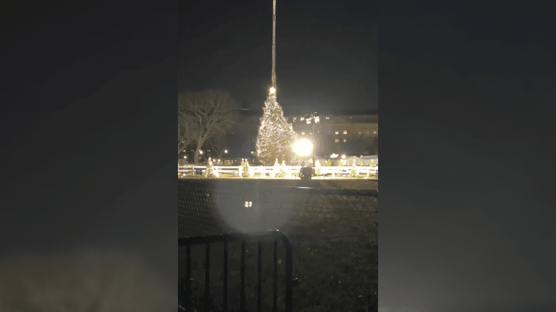 National Christmas Tree Toppled Near White House
