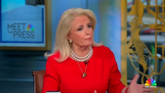 Michigan Dem Lawmaker Says Americans ‘Don’t Want Illegals,’ Calls for ‘Comprehensive Immigration Reform’