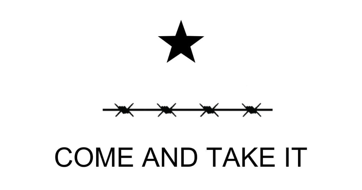 ‘They Want Civil War’: Dems in Congress Call on Biden to Seize Control of Texas National Guard