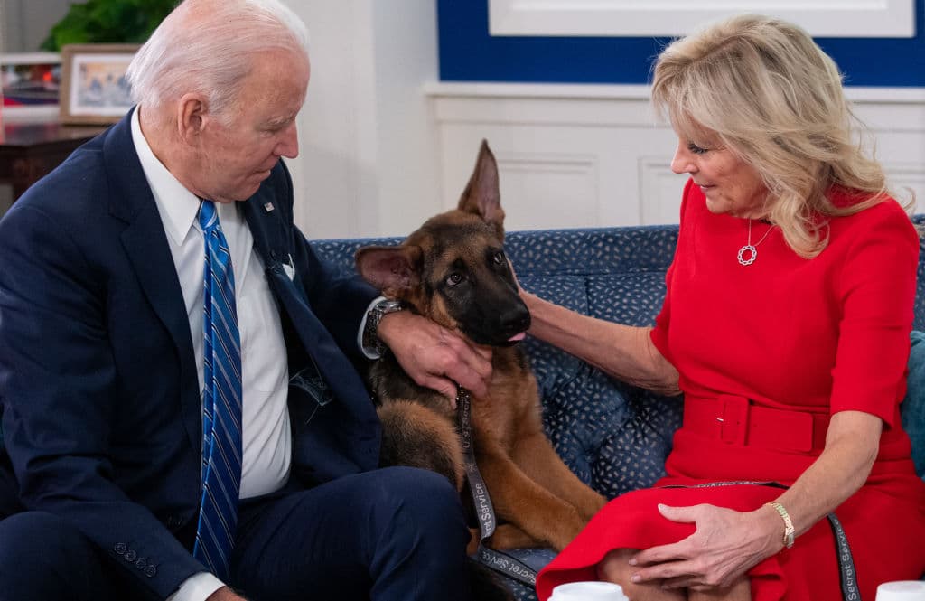 Biden’s Dog Commander’s at Least 24 Bites Prompted Removal From White House: Report