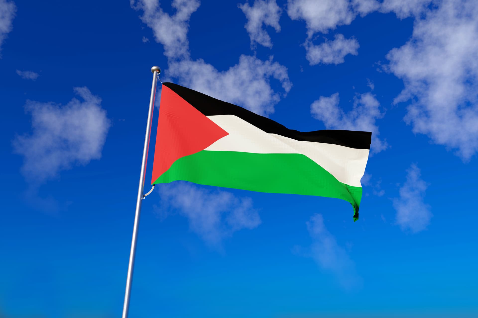 Palestinian Journalist Blasted After Appearing to Complain About Not Being Able to Hijack Planes