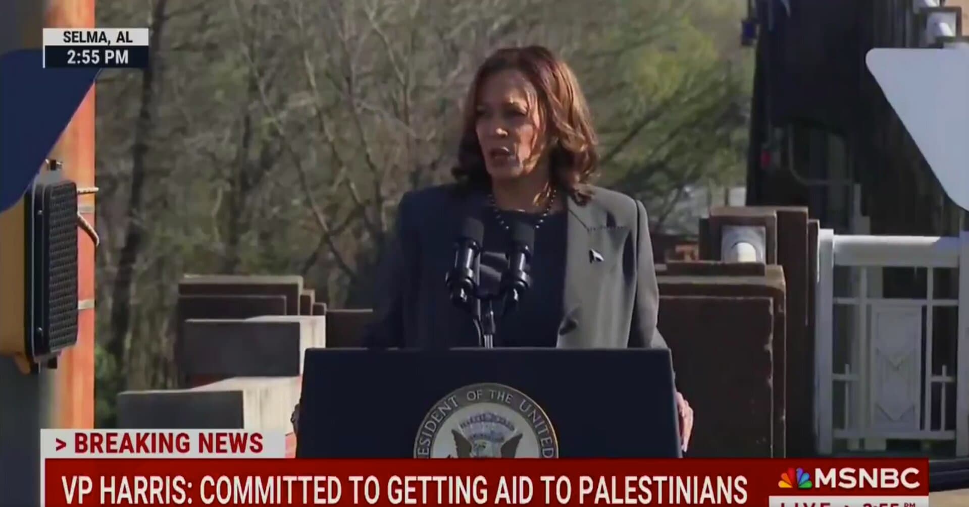 Harris Calls for an ‘Immediate Cease-Fire’ in Gaza