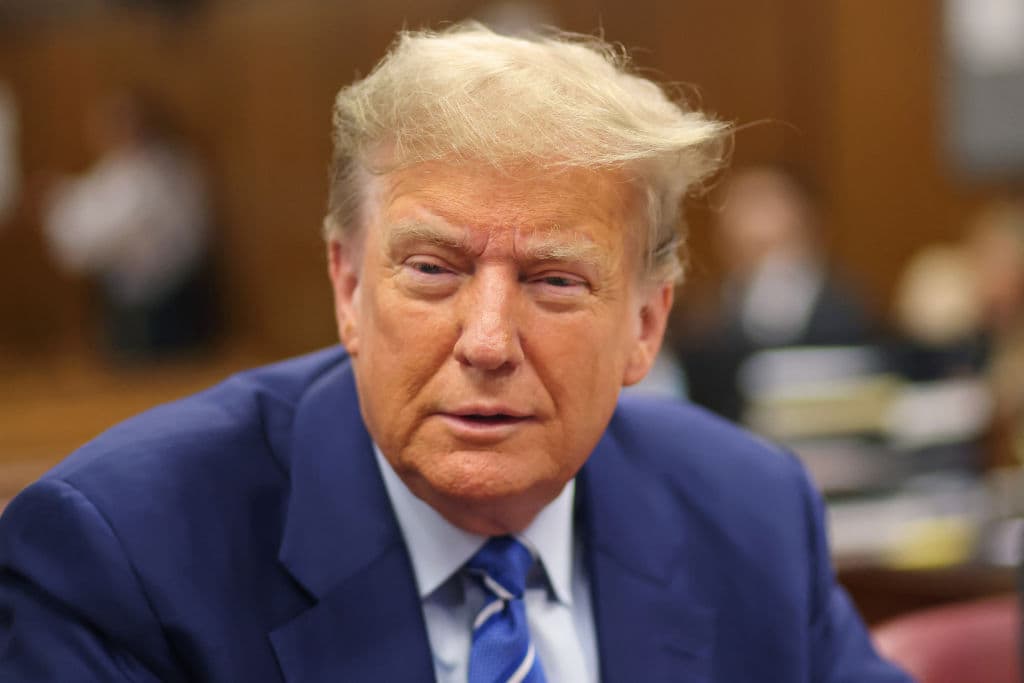 Georgia Appeals Court Gives Trump Great News in His Fight Against Fani Willis