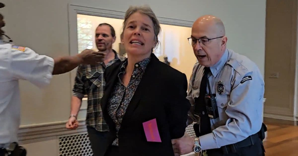 Climate Activist Who Defaced Famous Work of Art Sentenced to Prison