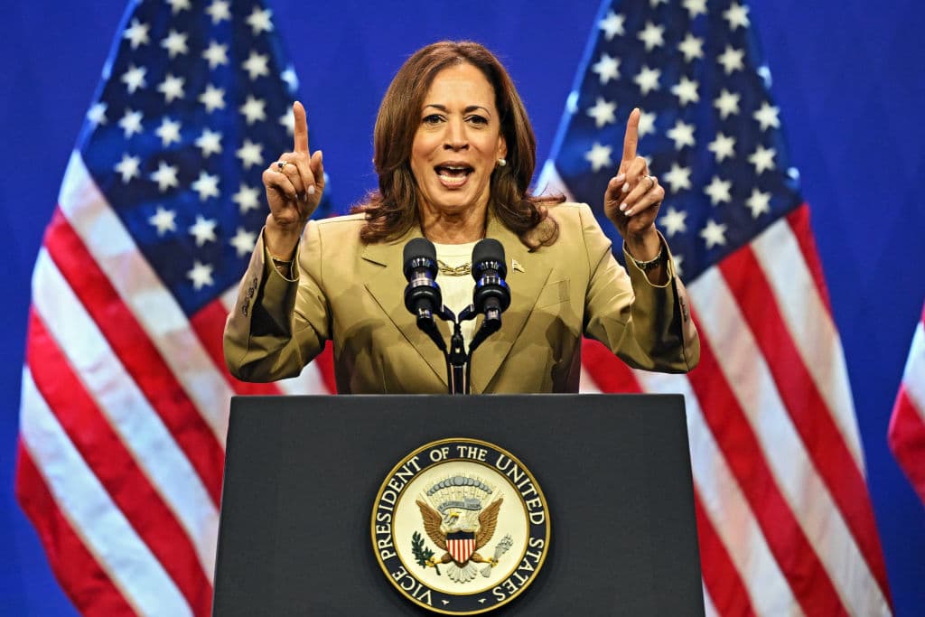 Major Dem Donor Won’t Raise Funds for Harris