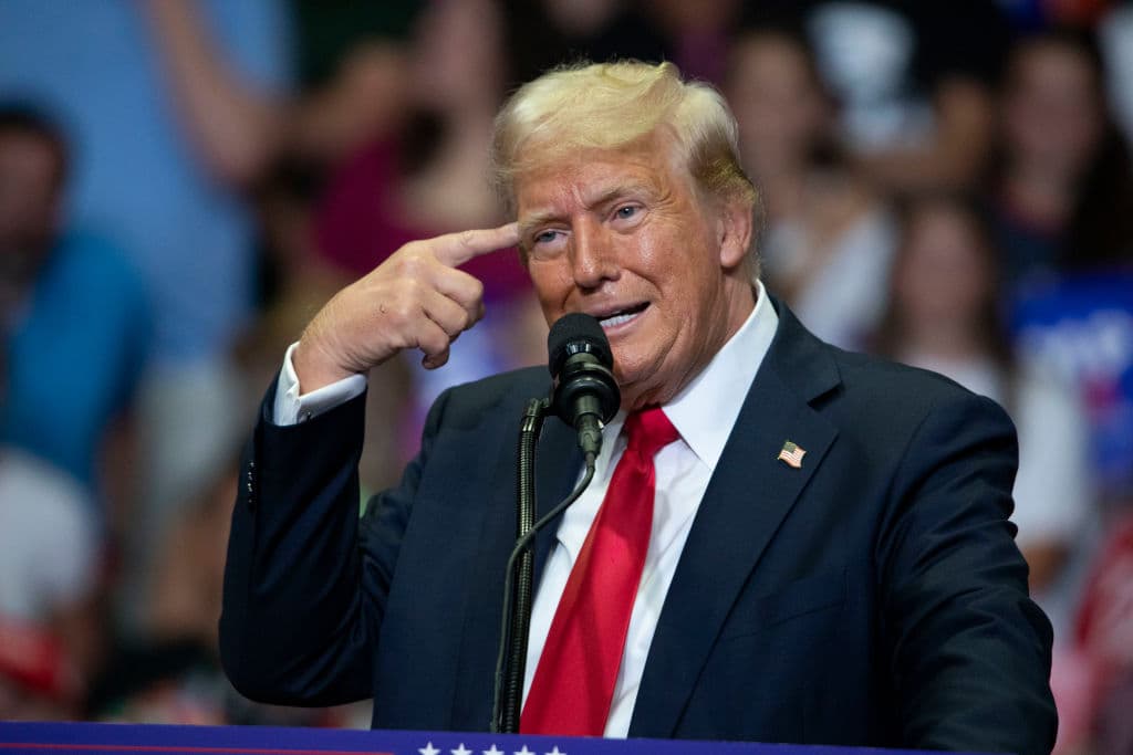 Trump Calls Harris ‘Dumb as a Rock’