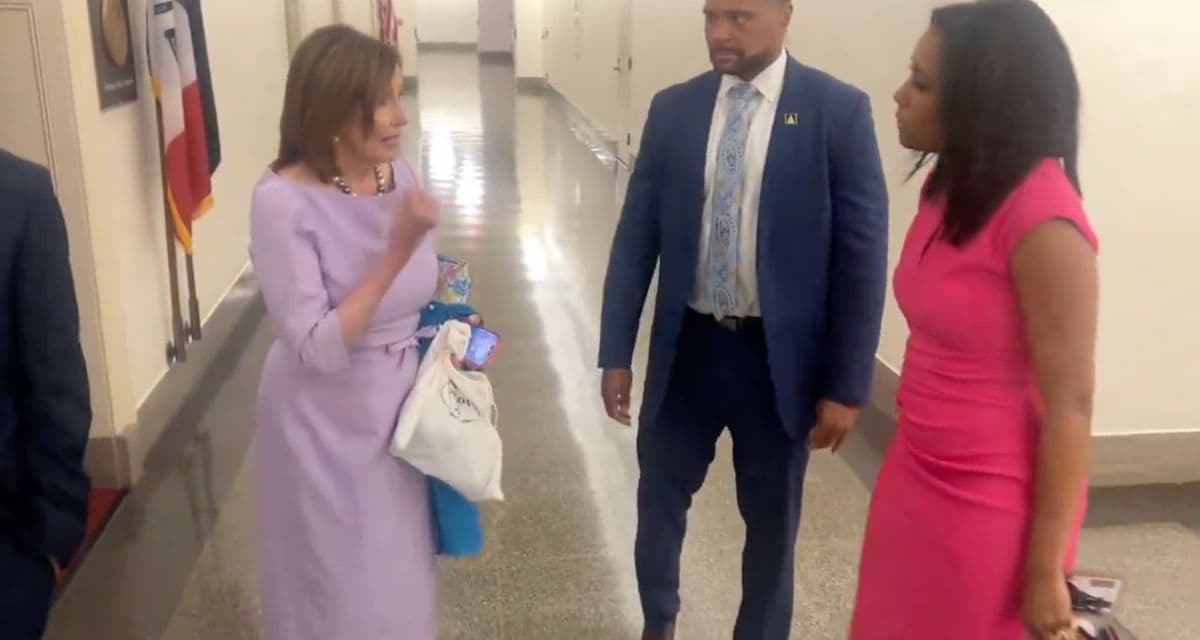 Pelosi Loses It, Asks Reporter if She Is ‘Speaking English’ When Pressed on Her Comment About Biden