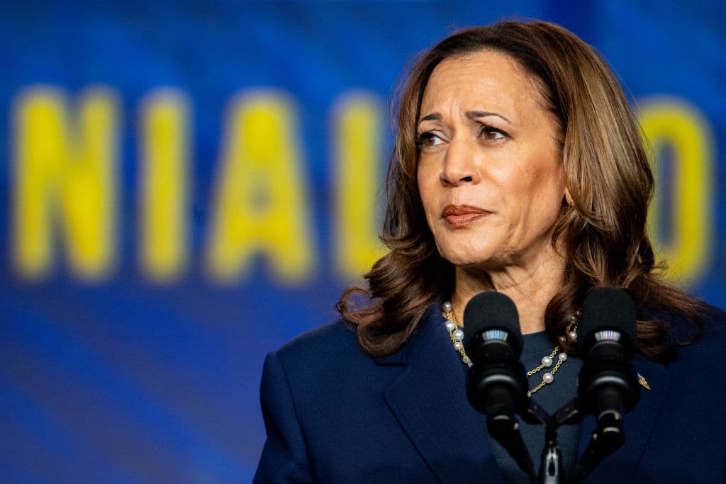 Harris Campaign’s Insult of 4-Year-Old Trump Prediction Comes Back to Haunt Her