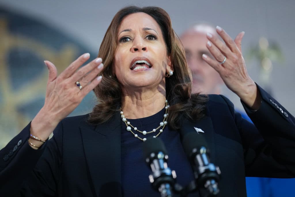 Reporter Deems Harris an ‘Artless Dodger’: ‘She Couldn’t or Wouldn’t Answer a Single Question Straight’