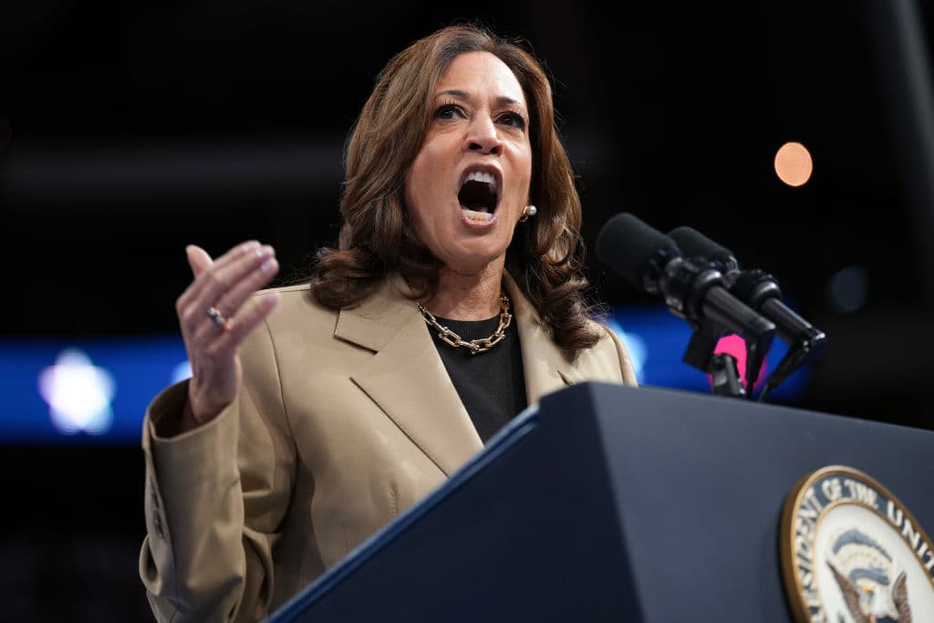 Harris Plans to Distance Herself From Biden’s Economic Policies: Report