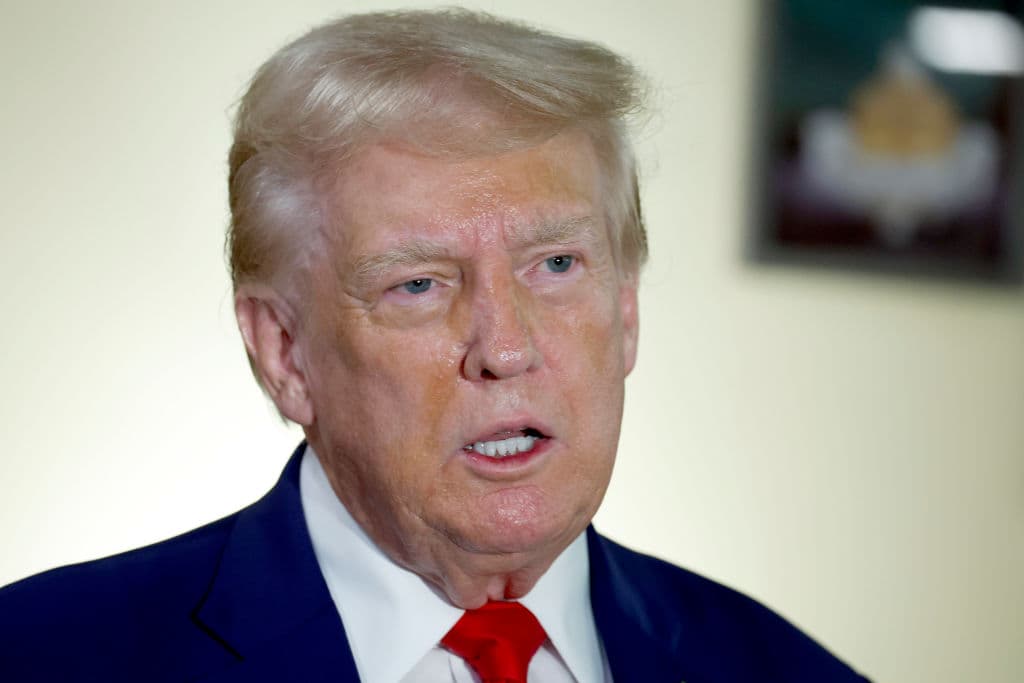 Trump Says He Would Rather Not Have Mics Muted During the Debate