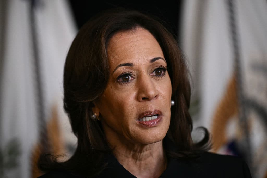 Kamala Harris Receives Pushback From CBS News Correspondent While Discussing Her Plan for Economy