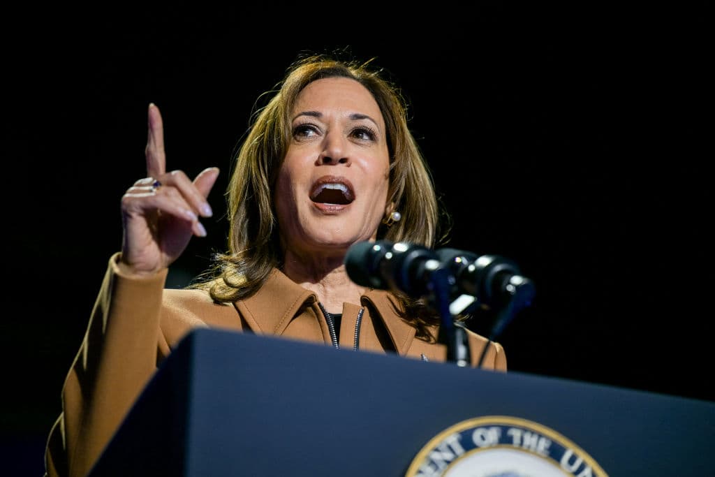 ‘CRINGE’: Crowd Goes Silent After What Harris Asks Them to Do