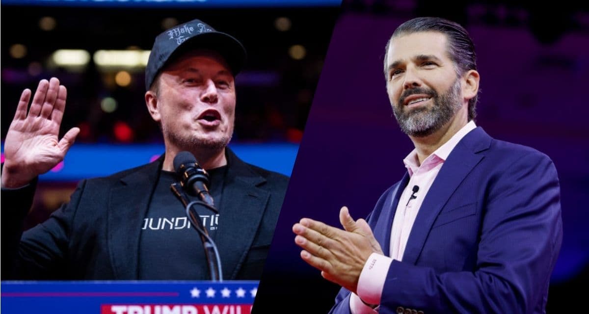 Donald Trump Jr., Elon Musk Joke About Purchasing MSNBC: ‘This Is Getting Really Interesting’