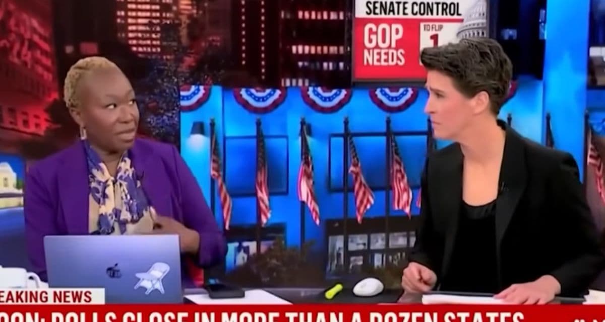 Joy Reid Calls Florida a ‘Fascist-Type Government’ After Amendment Fails