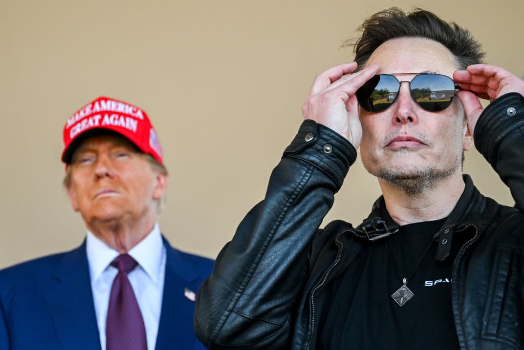 Trump, Musk Alliance Shows Cracks: Report