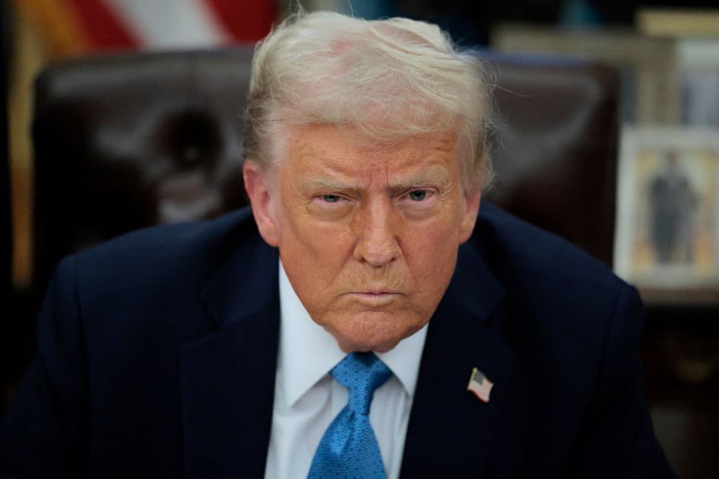 Trump Says If Ukraine Wants Continued Support They Must Give Access to Rare Earth Elements