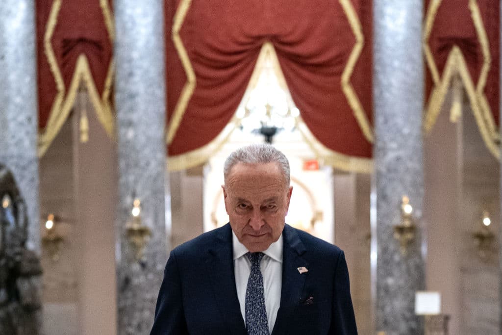 Schumer Says Dems ‘Have a Real Direction Now’ — Despite Poor Polling