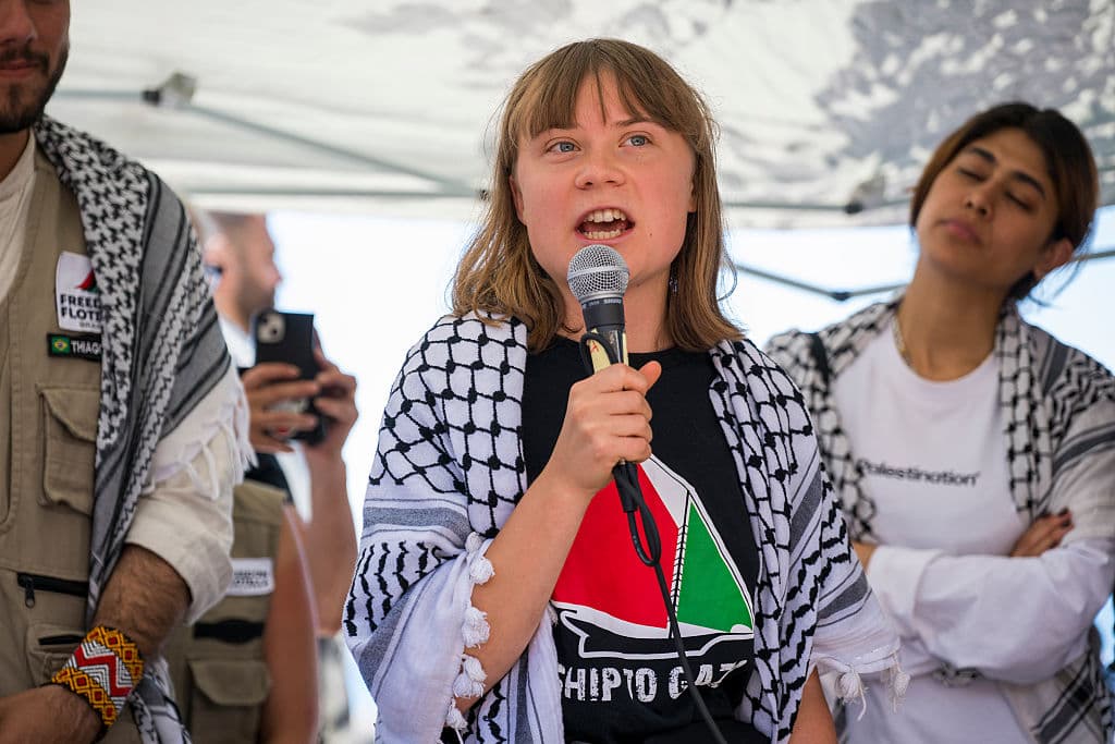 Gaza-Bound Vessel Carrying Greta Thunberg Detained by IDF