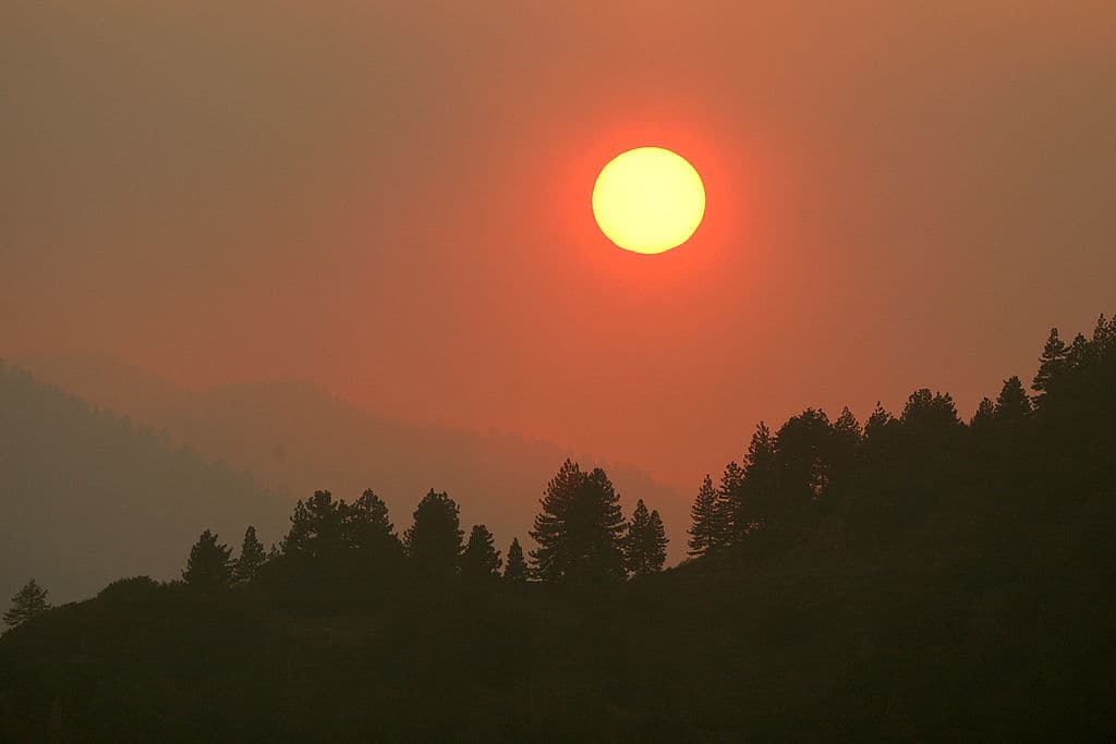 Woman Found Dead In National Forest Amid Husband Fleeing To Peru