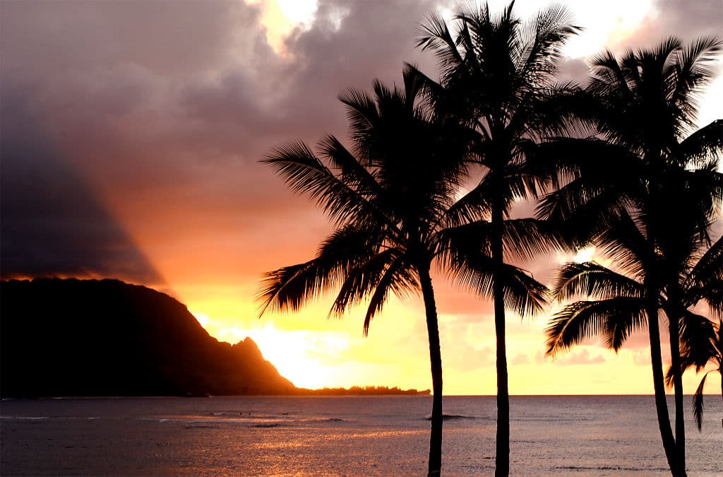 Hawaiian Beach Shut Down After Surfer Bitten by Shark in Hanalei Bay