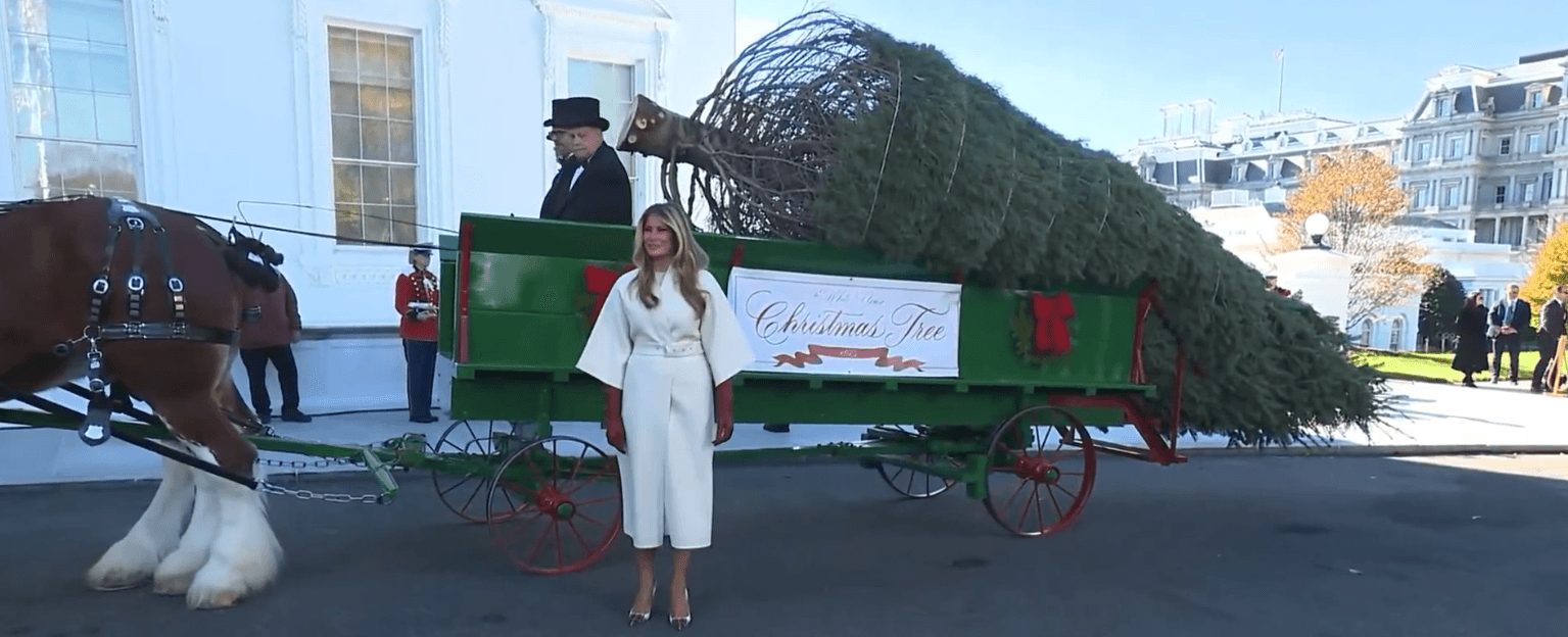 Melania Trump Welcomes White House Christmas Tree as Holiday Season Begins