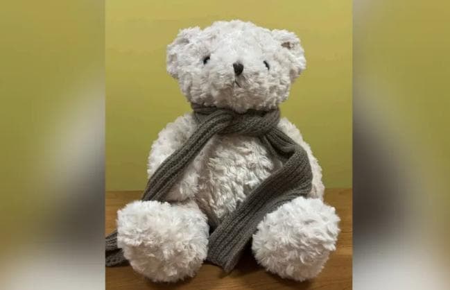 Watchdog Group Issues Report On Teddy Bear