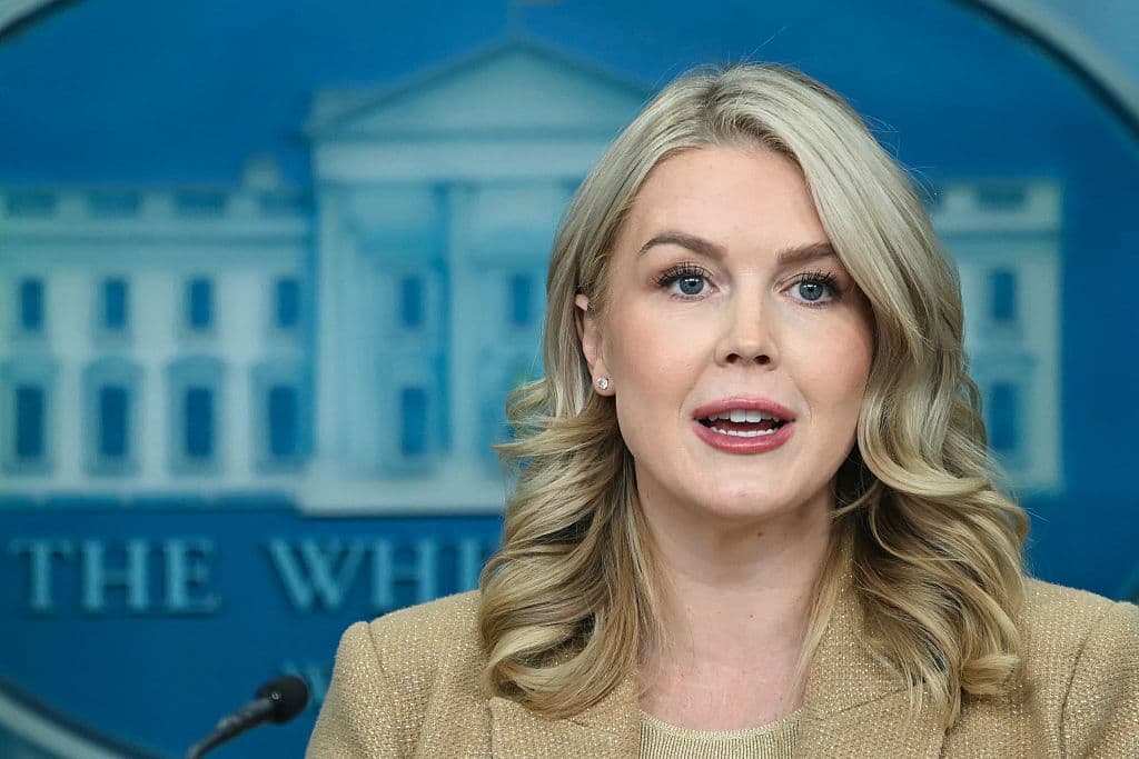 ICE Team Detains ‘Criminal Illegal Alien’ Mother of Karoline Leavitt’s Nephew