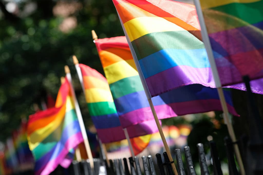 Trump Admin Moves to Scrap Biden-Era LGBTQ Foster Care Rule