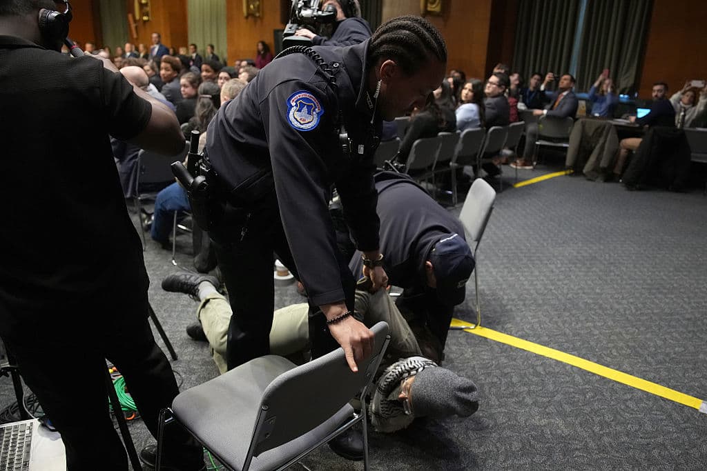Protester Disrupts DHS Hearing Before Being Escorted Out