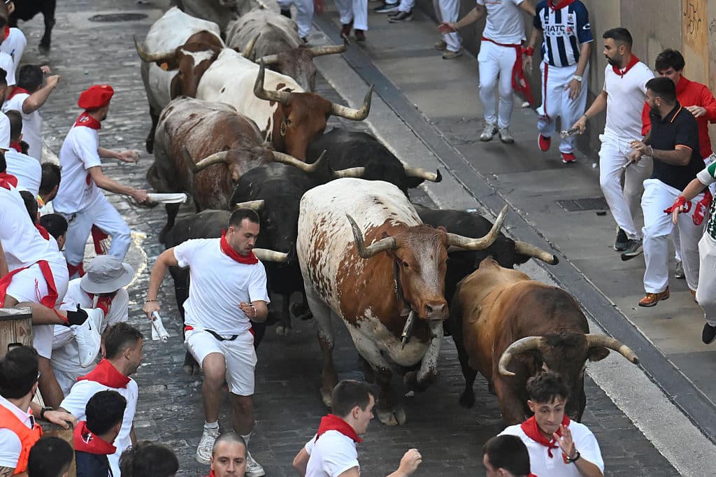 ‘Street of Hell’ Tragedy: Father Killed in Brutal Bull Attack