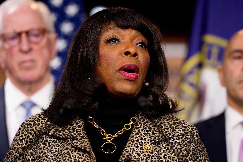 Democrat Defends ActBlue CEO as GOP Probe Intensifies