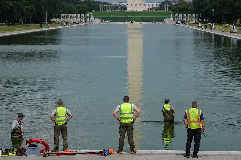 Green Algae Returns to DC Reflecting Pool 