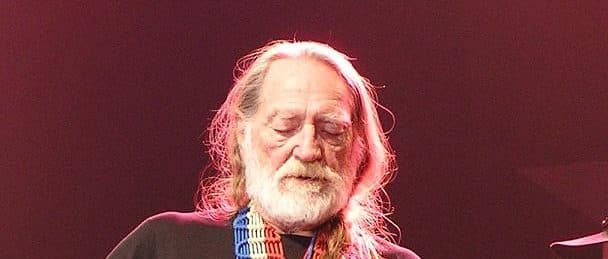 Democrat Climate Activists Follow Their âYodaâ Willie Nelson Into War On Data Centers