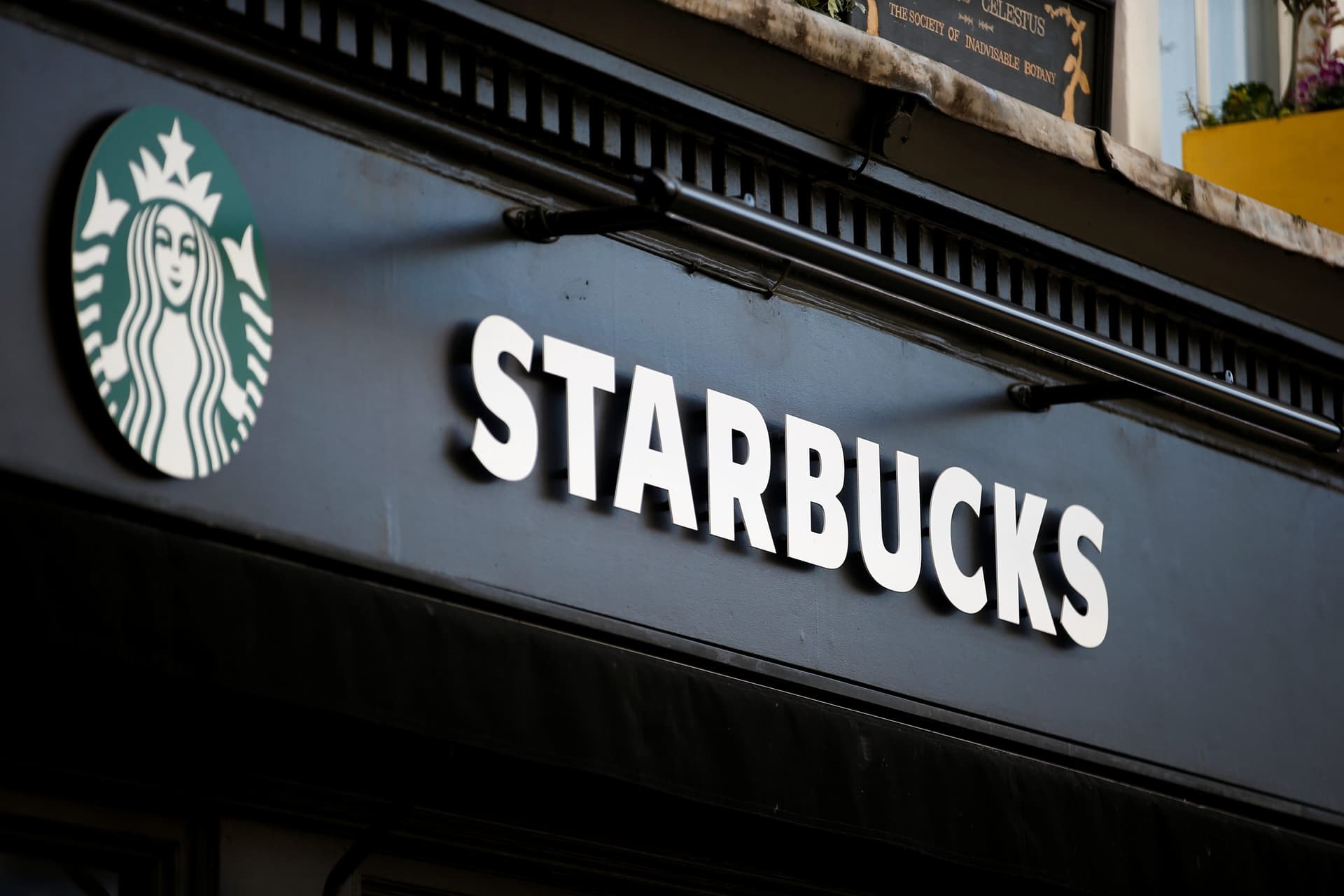 Starbucks Making Substantial Change to Drinks to Reduce âWater Footprintâ â Fans Are Furious