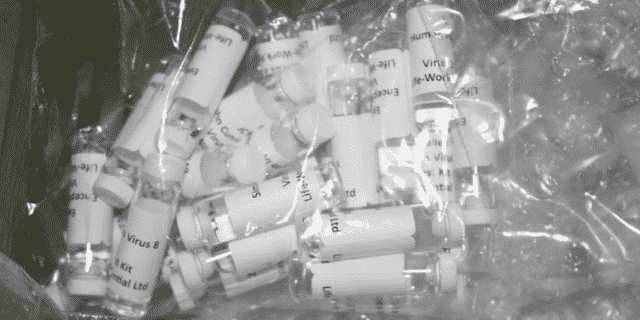 CBP Seizes Suspected Counterfeit Coronavirus Testing Kits at Airport