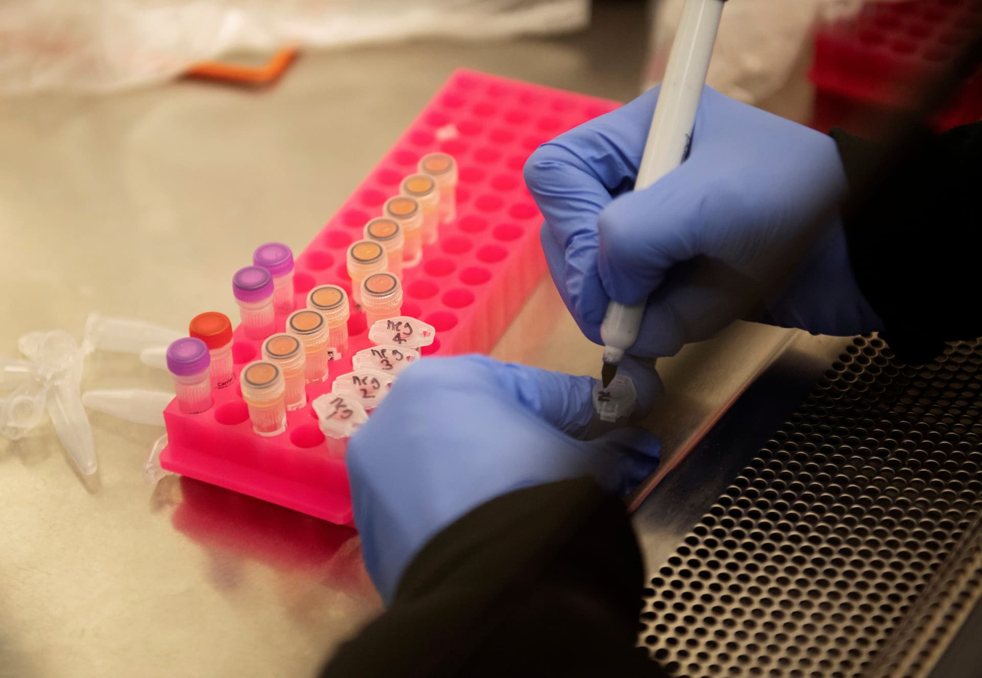 Study Shows Trump-Touted Anti-Malarial Drug May Have High Death Risk in COVID-19 Patients