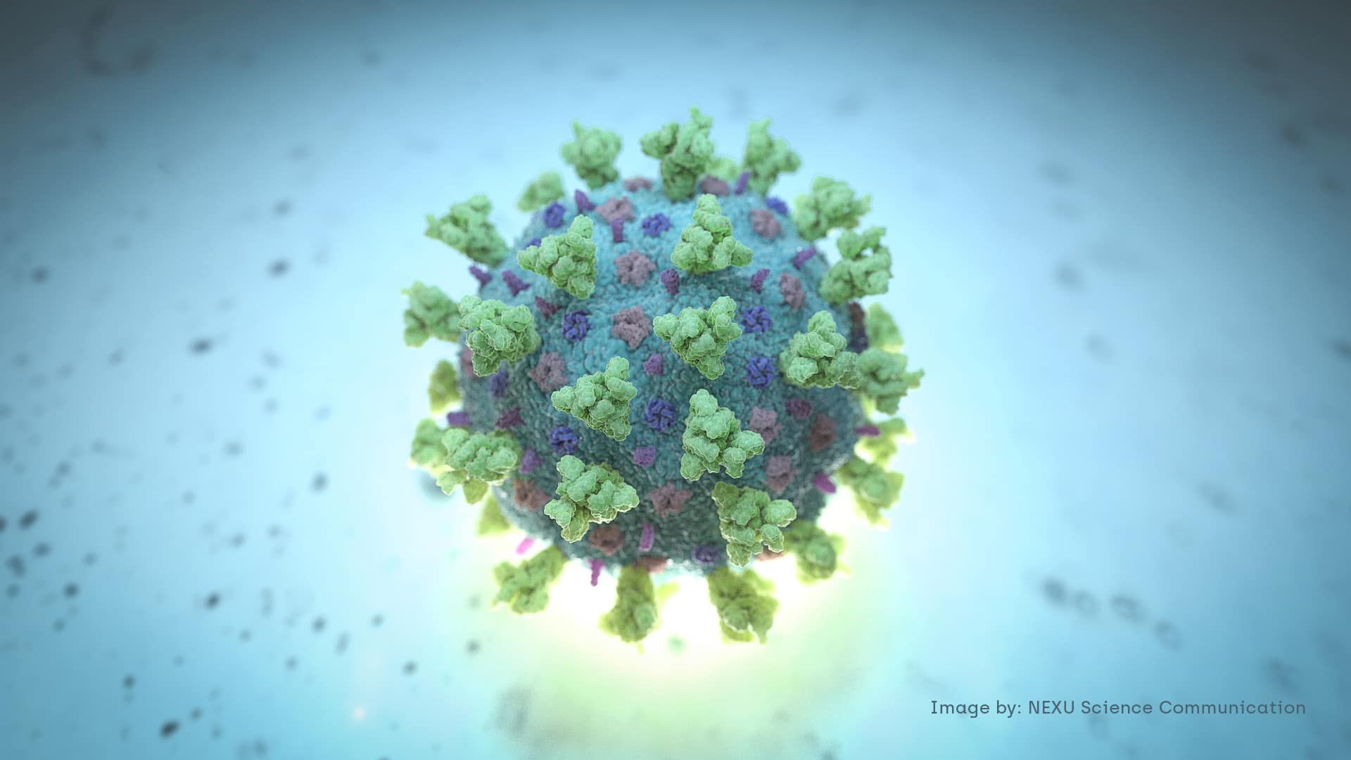 WHO Official Warns a Coronavirus Vaccine May Never Be Developed
