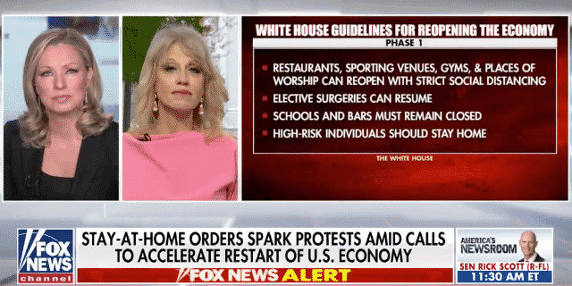 Kellyanne Conway Says Trump Wants Protestors to Follow Social Distancing Guidelines