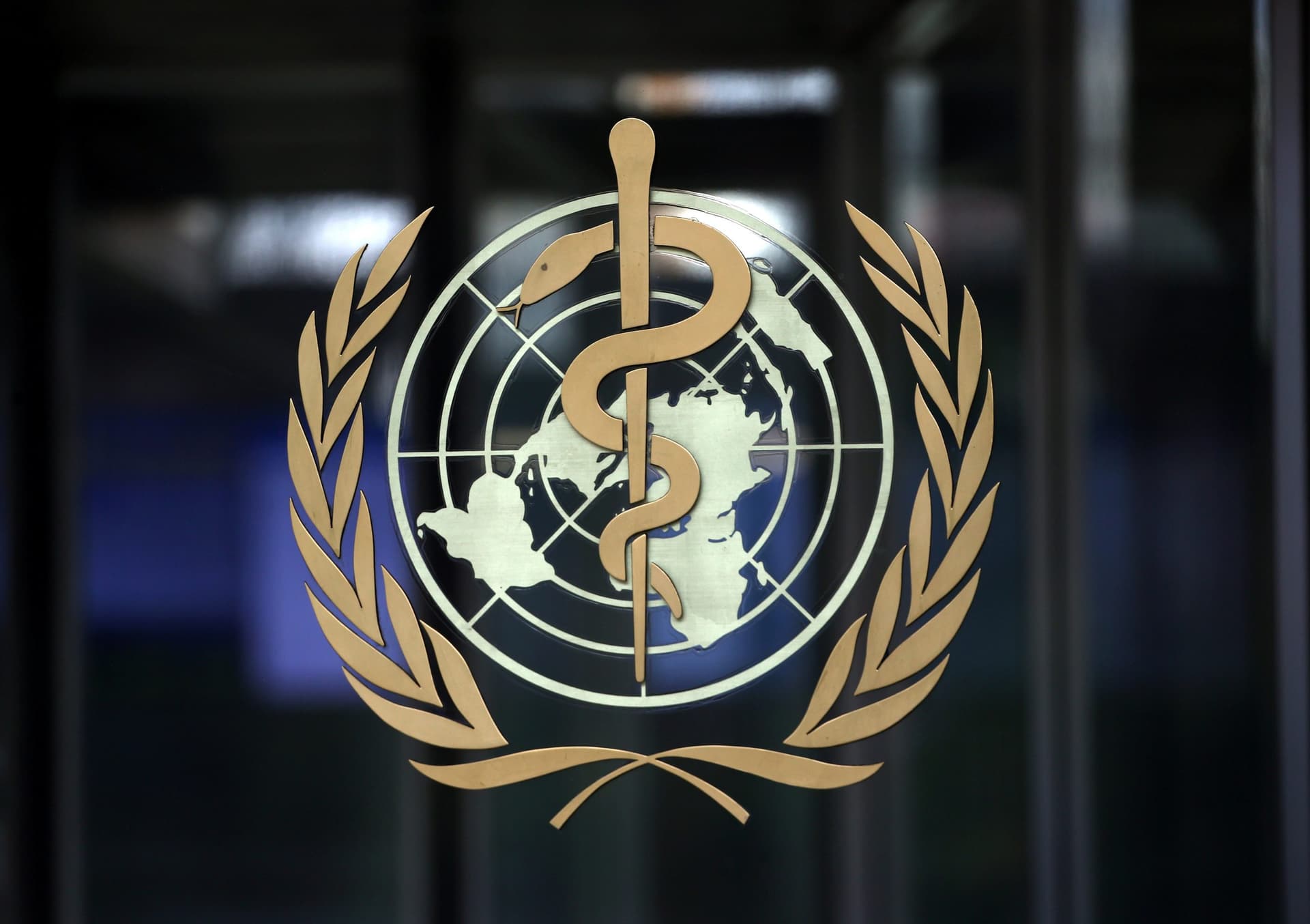 WHO Sees ‘Potentially Positive Data’ on COVID-19 Treatments