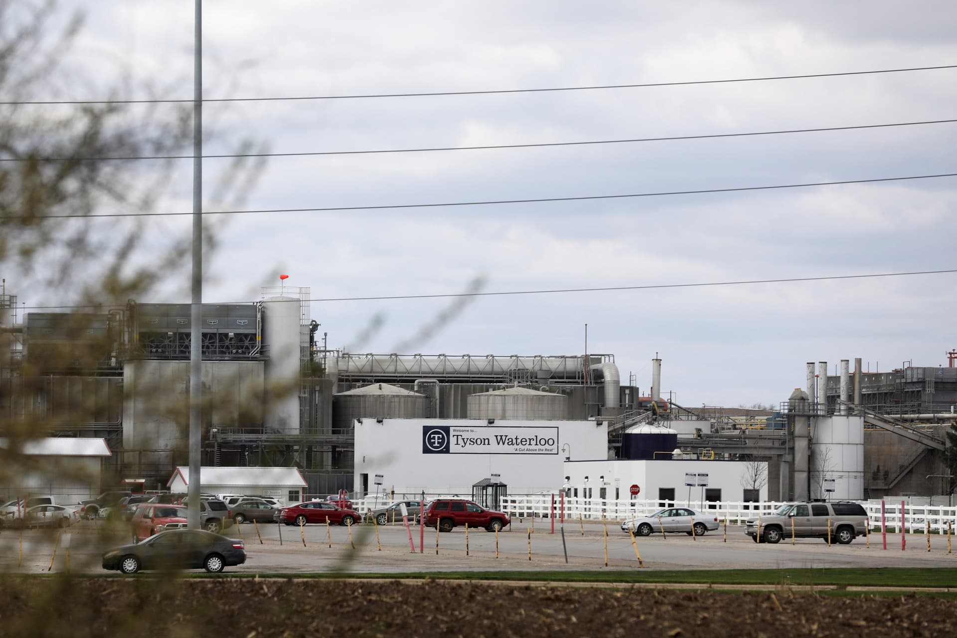 Tyson Foods to Resume Limited Production at Largest US Pork Plant