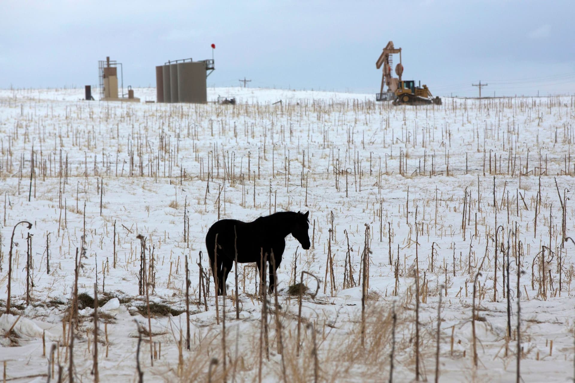 US Army Corps Asks Appeals Court To Reverse Dakota Access Pipeline Ruling