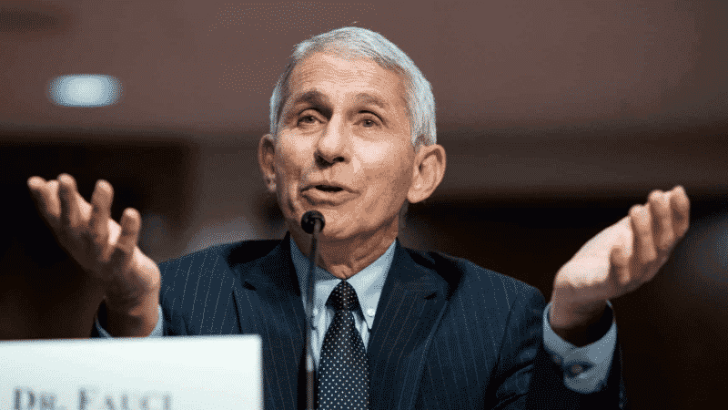 Fauci Refers To ‘The Godfather’ While Dismissing Trump Calling Him a ‘Disaster’