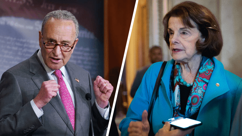 Schumer, Feinstein Push for Delay in Supreme Court Nomination Process in Wake of COVID-19 Cases