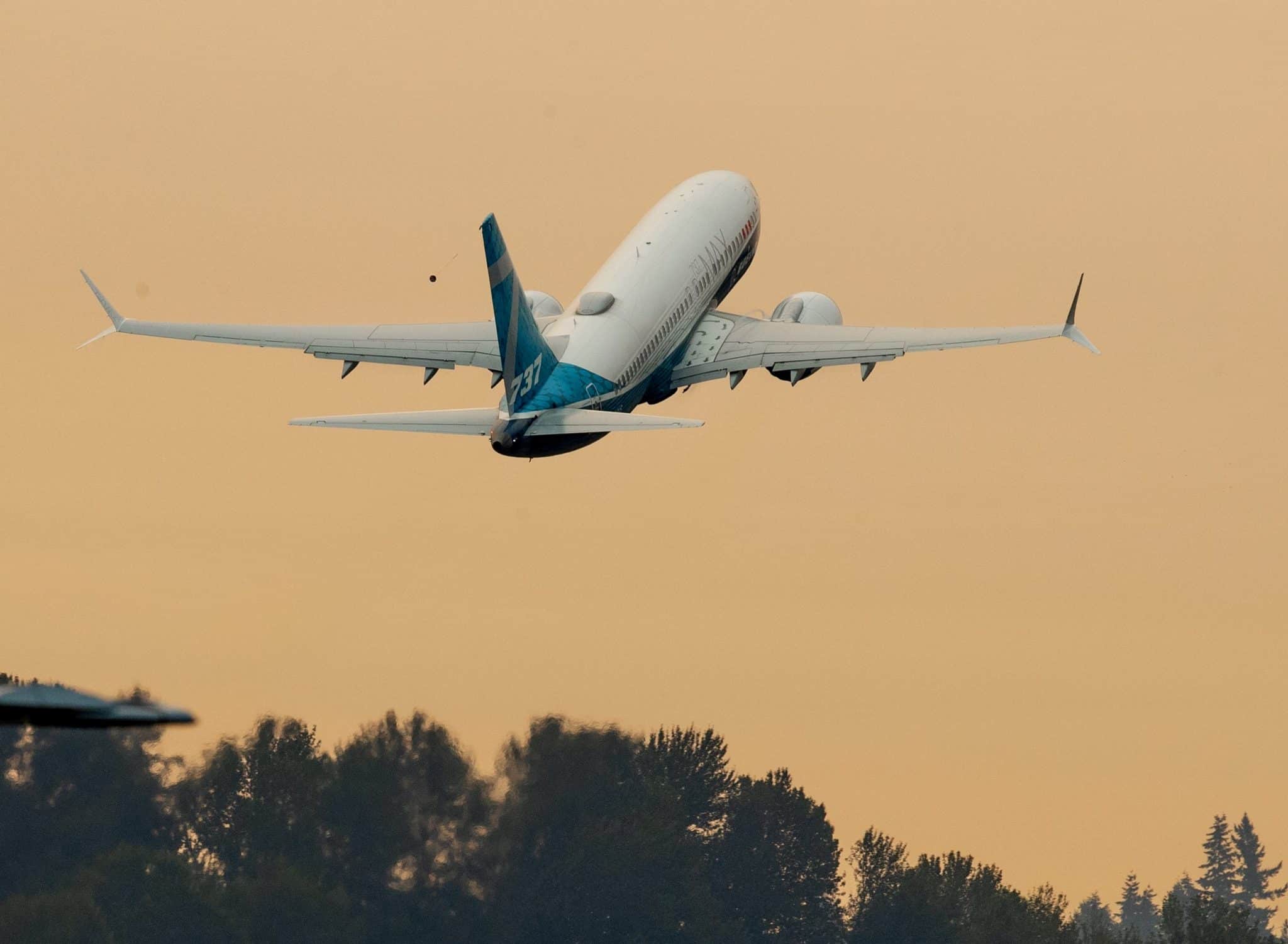 Vegan Upset Over What Airline Gave Her on 6-Hour Flight: âEveryone Was Eating Hot Foodâ but Her