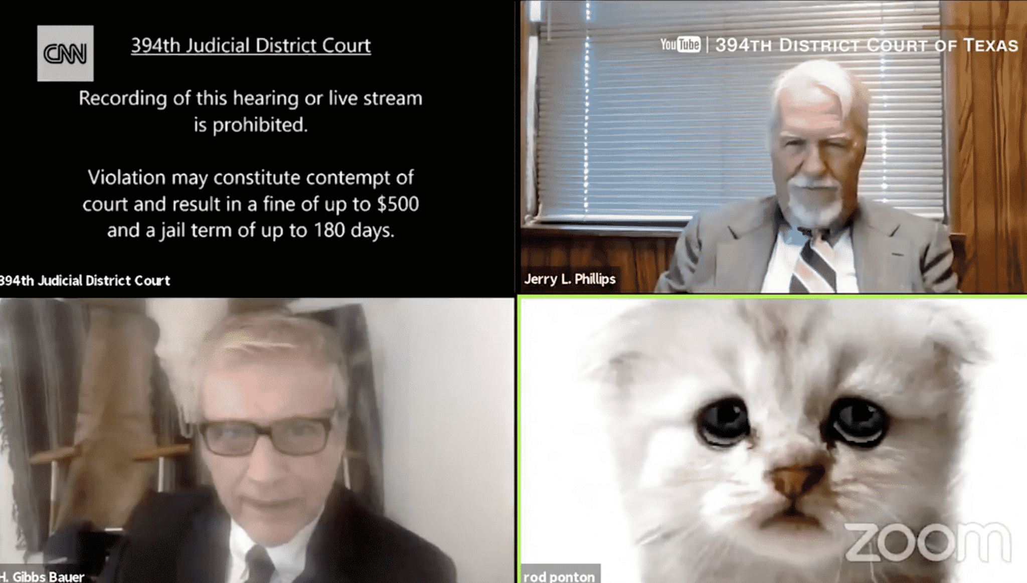 Lawyer Tells Judge He Is āNot a Catā After Filter Difficulties on Zoom