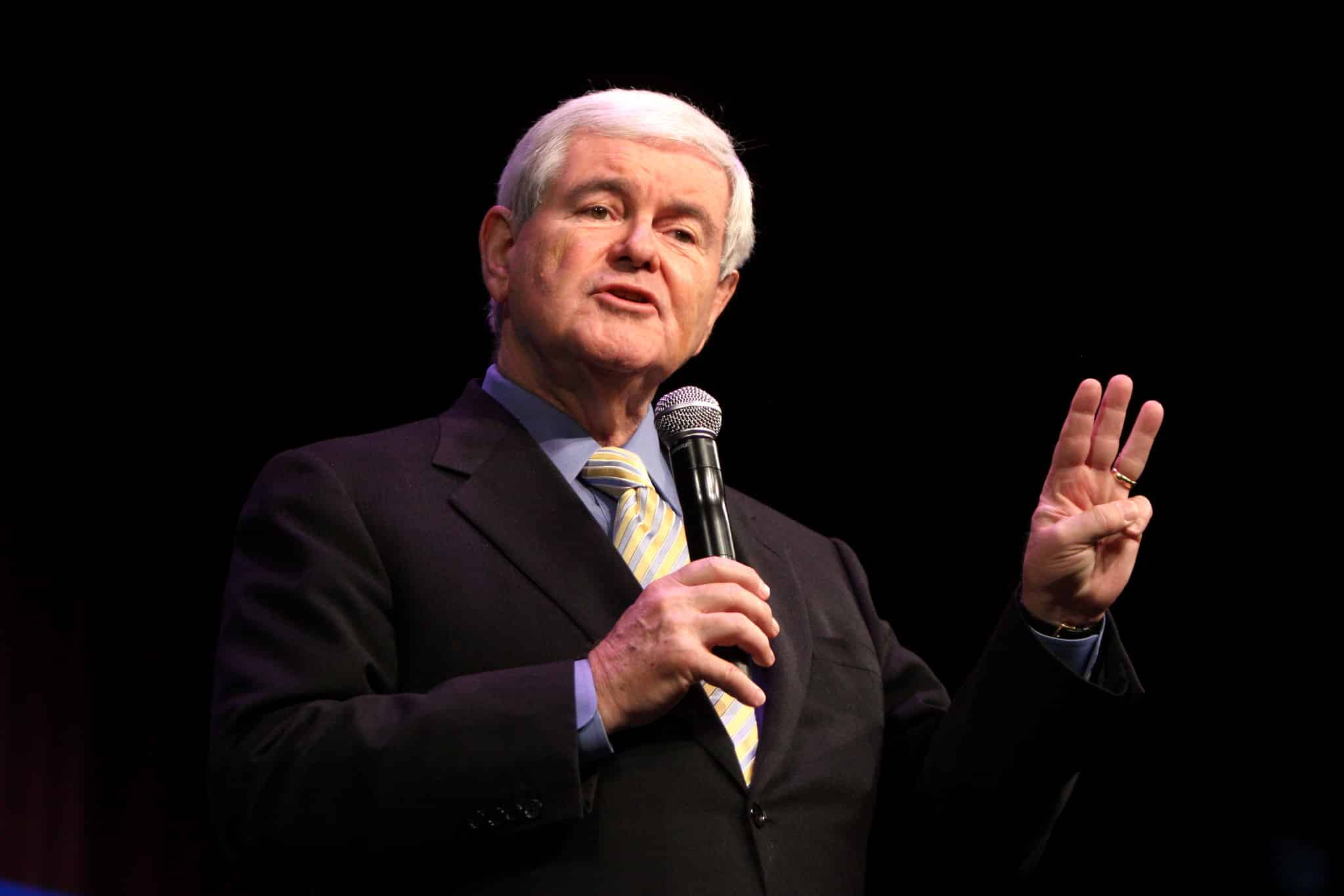 Newt Gingrich Calls Dems âHypocritesâ Amid House Probe Into Results of Iowa Race