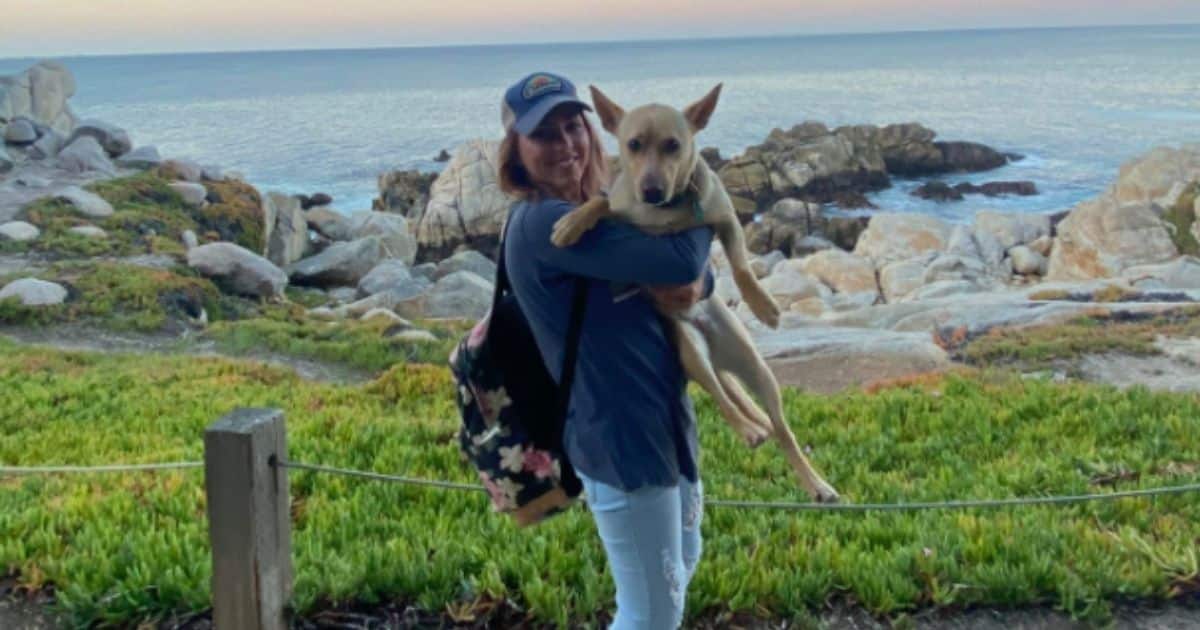 Hiker Captures Moment She Thought Could Be Her Last After She and Dog Fell Off Boulder