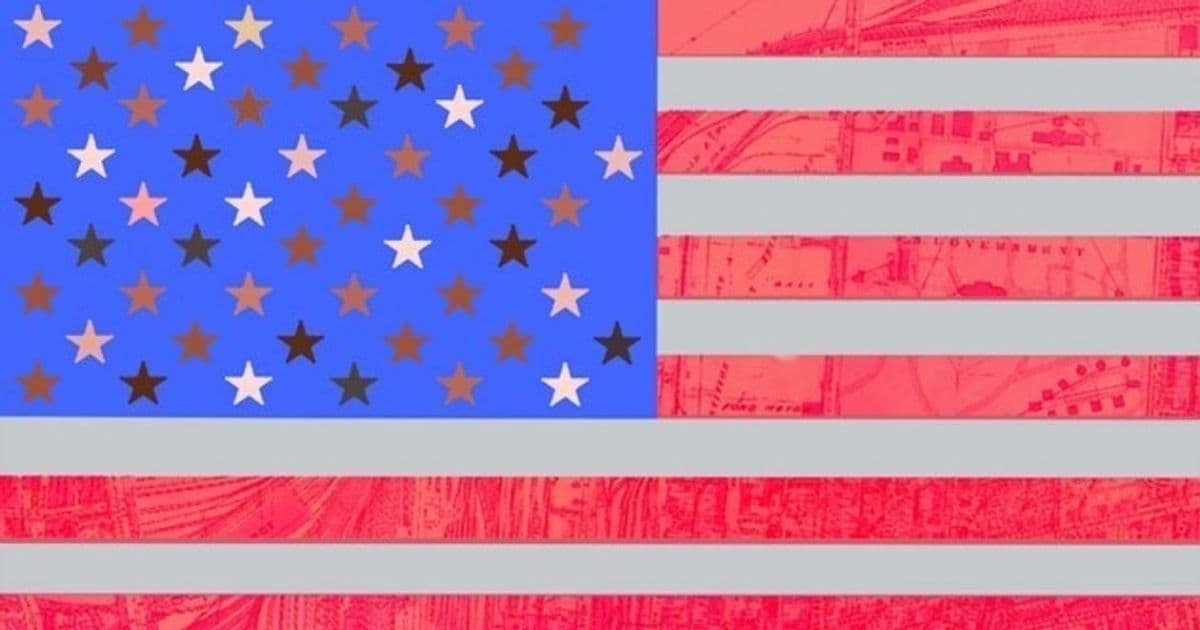 Macy Gray Calls US a 'Broken' Nation, Demands Race Be Codified on Redesign of Flag